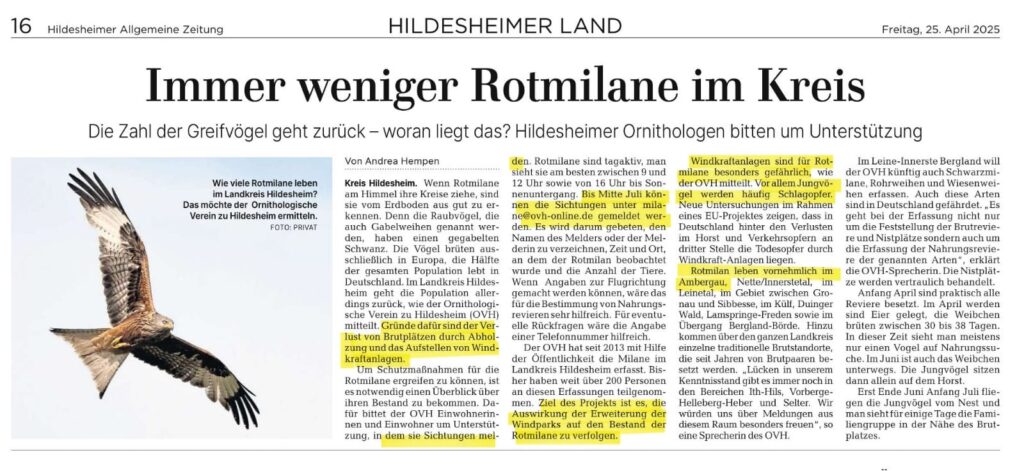 Immer weniger Rotmilane im Kreis - HiAZ, 25.04.2025